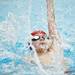 An Arkansas swimmer competes in the 100 meter backstroke at Canham Natatorium on Monday, July 29. Daniel Brenner I AnnArbor.com